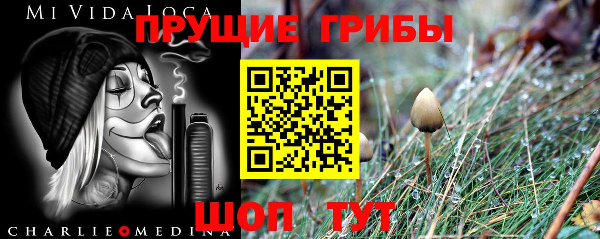 Псилоцибиновые грибы GOLDEN TEACHER Фролово